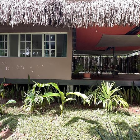 Monkey Lodge Panama Chilibre المظهر الخارجي الصورة