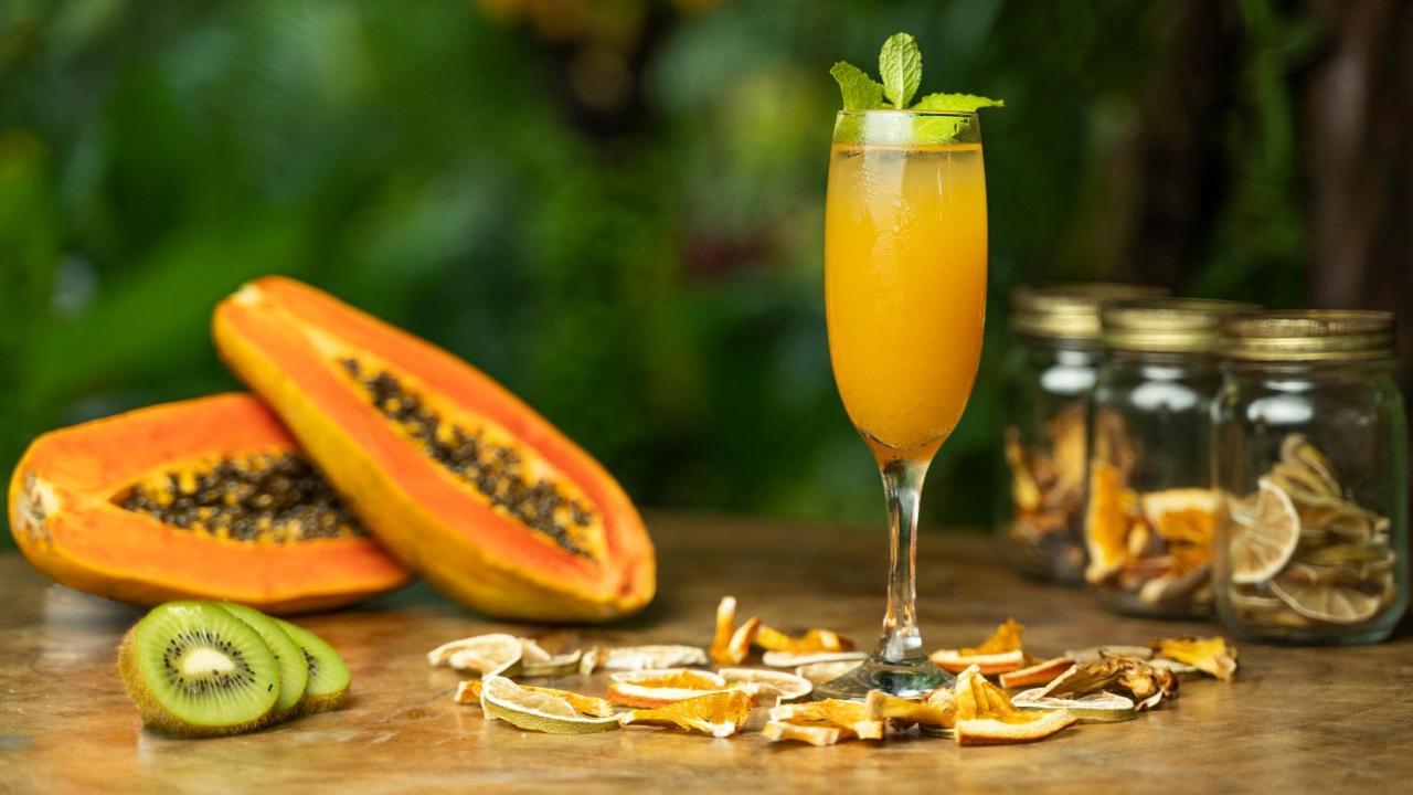 Monkey Lodge Panama Chilibre المظهر الخارجي الصورة