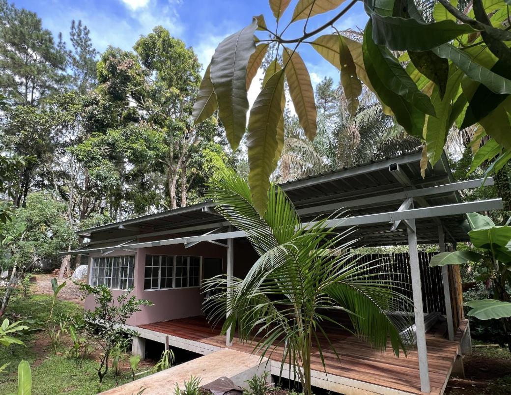 Monkey Lodge Panama Chilibre المظهر الخارجي الصورة