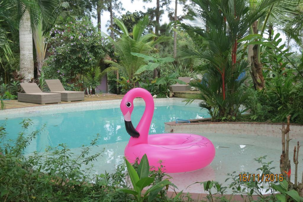 Monkey Lodge Panama Chilibre المظهر الخارجي الصورة