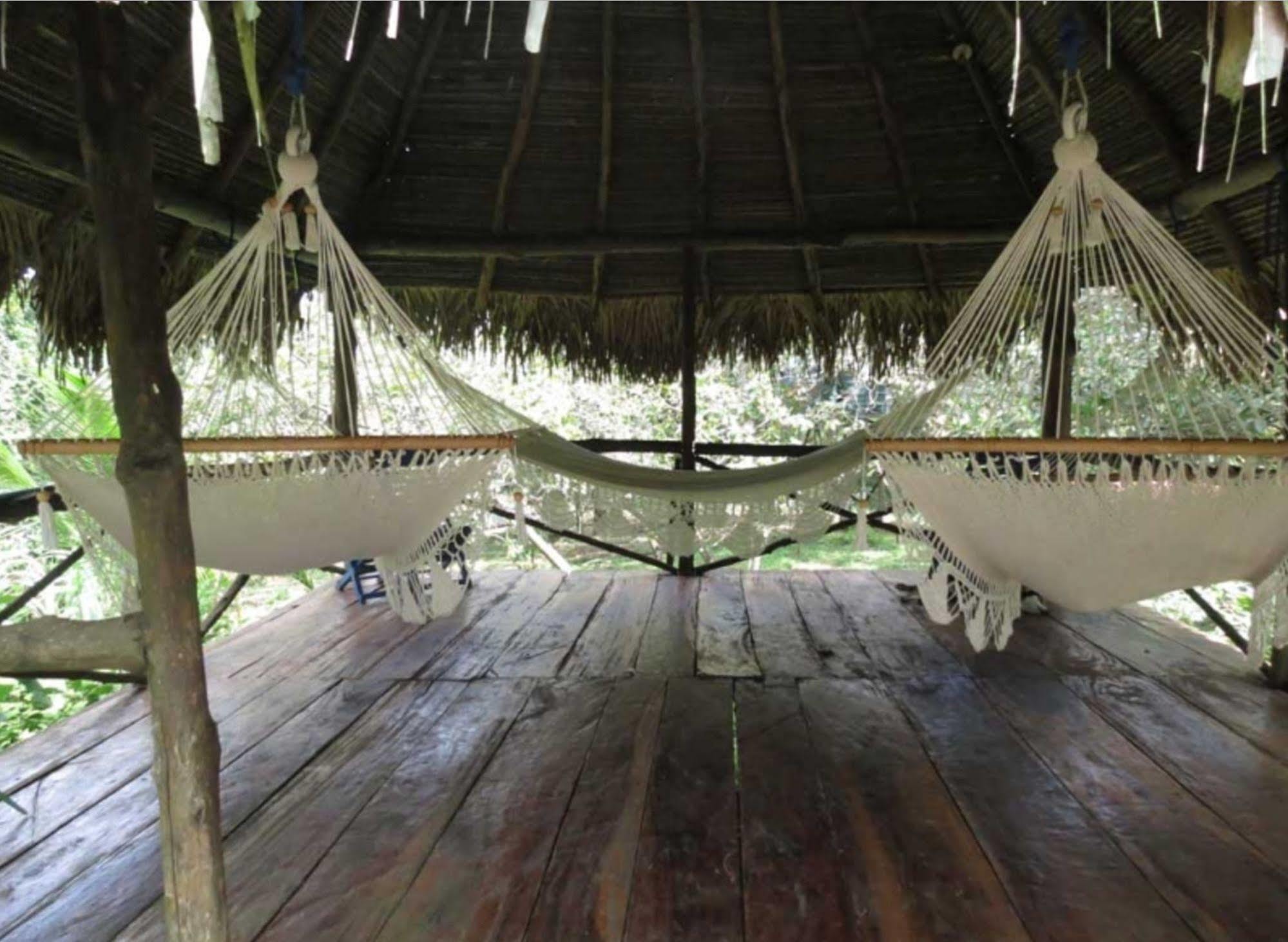 Monkey Lodge Panama Chilibre المظهر الخارجي الصورة